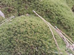 -沈阳辉山风景区