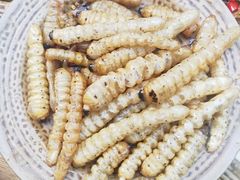 -昆虫窝子·特色云南菜(拓东路总店)