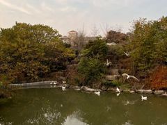 -临沂动植物园