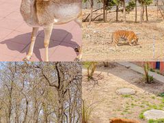 -济南野生动物世界