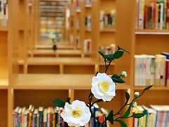 -漕河泾街道图书馆(漕河泾社区文化活动中心店)