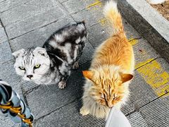 -天毓山庄·餐厅