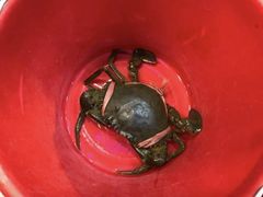 -旅南活海鲜-屏东(墾丁海鮮，海鮮餐廳，墾丁團體合菜，平價熱炒，墾丁熱炒店，活海鮮推薦，在地海鮮餐廳)