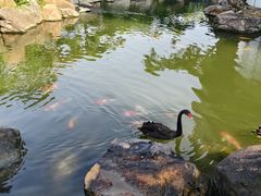 -罗红摄影艺术馆