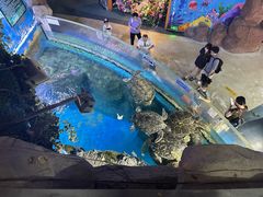 -烟台海昌鲸鲨海洋公园