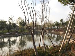 -春花秋色城市公园