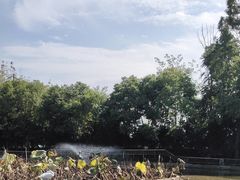 -三圣花乡旅游区