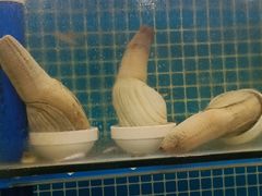 -前王院•巧克力海鲜市集餐厅(万平口店)