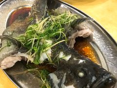 老虎斑-蚝专家(北滘店)