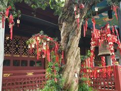 -常德桃花源景区