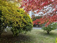 -苏州大学(天赐庄校区)