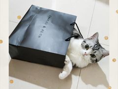 -袖虎·猫馆(体育西路店)
