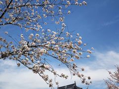 -苏州上方山国家森林公园
