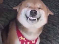 -建国328 本帮小馆·面馆