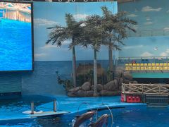 -海合安成都极地海洋公园