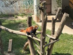 -青藏高原野生动物园