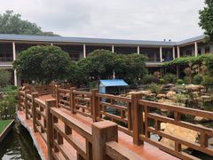 -花果山庄•现烤荔枝柴烧鹅