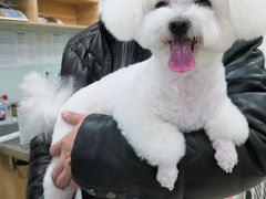 -宠福鑫康馨动物医院·骨科·眼科