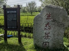 -凤凰沟景区