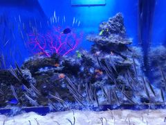 -成都浩海立方海洋公园