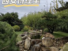 -诗经里