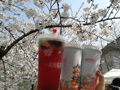 -鸡鸣赐茶(鸡鸣寺路店)