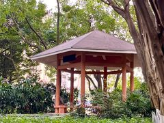 -黄埔荔枝公园