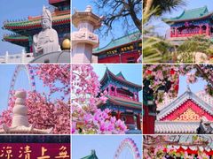 -天津大悲禅院