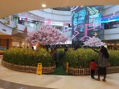-当当书店(国泰广场店)