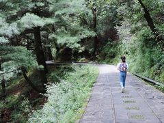 -苍山感通索道