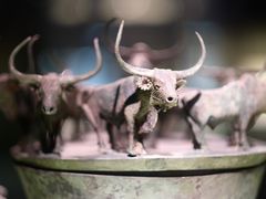 -上海博物馆(人民广场馆)