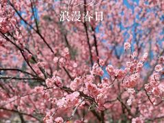 -无锡梅园公园
