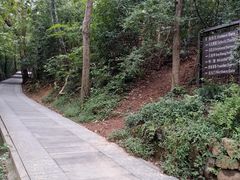 -上海佘山国家森林公园西佘山园