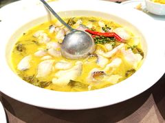 -望乡楼上海菜(日月光店)