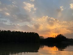 -上海海湾国家森林公园