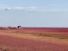 -红海滩国家风景廊道