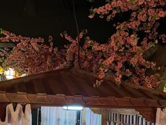 -应天大明王朝·南京菜(中山陵店)