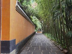 -缙云山景区