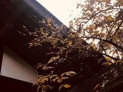 -成都杜甫草堂博物馆