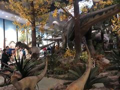 -湖南省地质博物馆