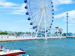 -秦皇岛乐岛海洋王国