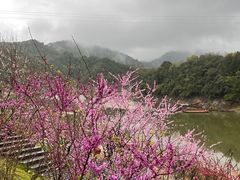 -婺源梦里老家大型山水实景演出