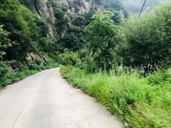 -秦岭风景区