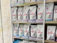 -瑞鹏宠物医院华南总院·夜诊·心脏科·骨科