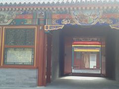 -紫竹院公园冰场