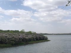 -丁香湖公园
