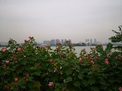 景点-云龙湖旅游景区