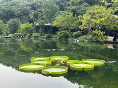 -云溪植物园