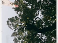 -八一南昌起义纪念塔