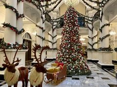 -Salon de Ville浦江汇(上海外滩华尔道夫酒店店)